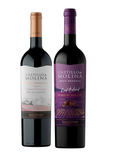 2 Castillo de Molina