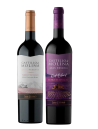 2 Castillo de Molina