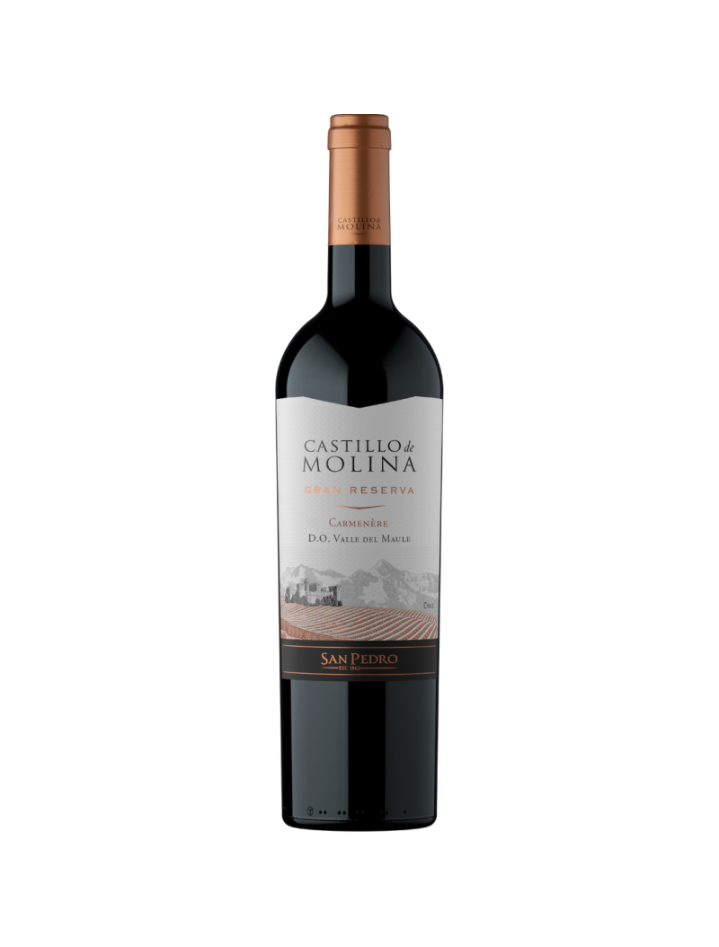 Castillo Molina Reserva Carmenere